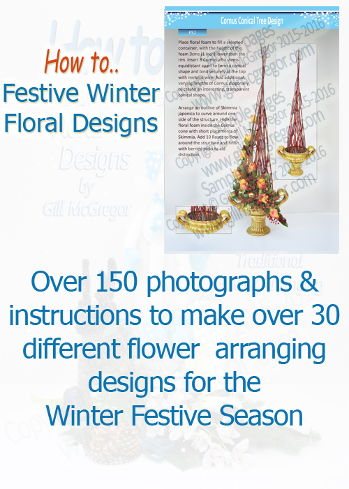 Flower Arranging Books by Gill McGregor 'Festive Winter Floral Designs' 