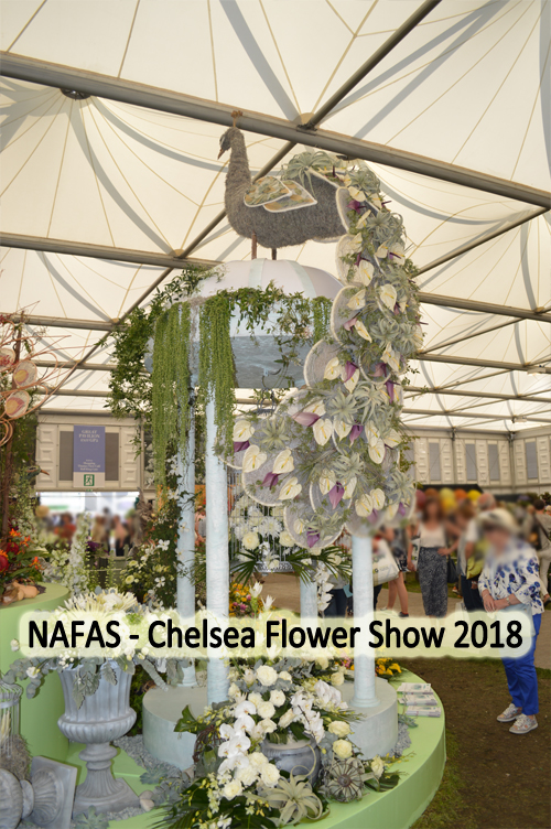 NAFAS - Chelsea Flower Show 2018 - Winter Bird - designed by Gill McGregor