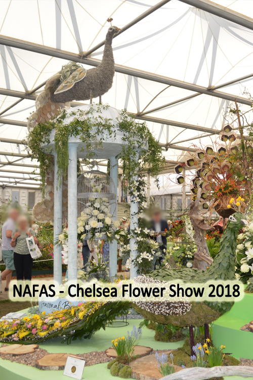 NAFAS - Chelsea Flower Show 2018 - Winter Bird - designed by Gill McGregor