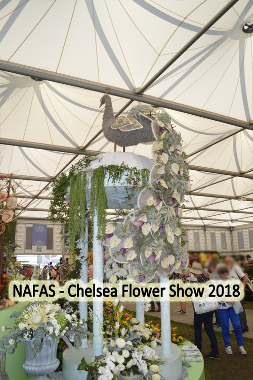 NAFAS - Chelsea Flower Show 2018 - Winter Bird - designed by Gill McGregor